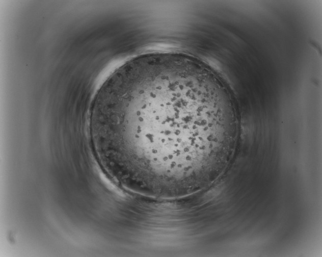 X0000099451421200805161011