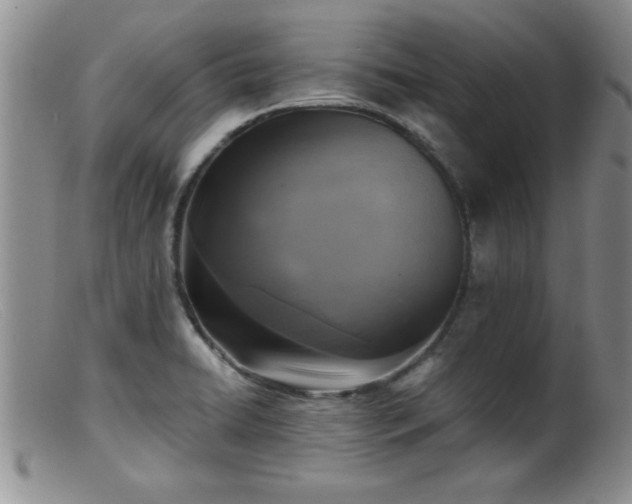 X0000099451422200805161011