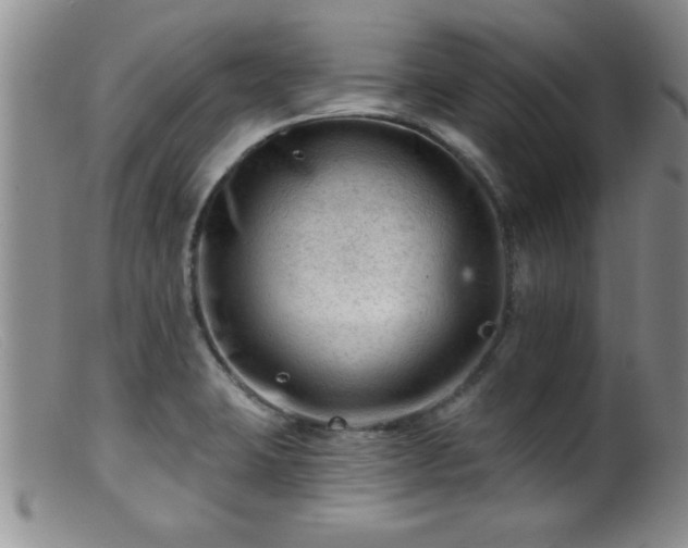 X0000099451423200805161011