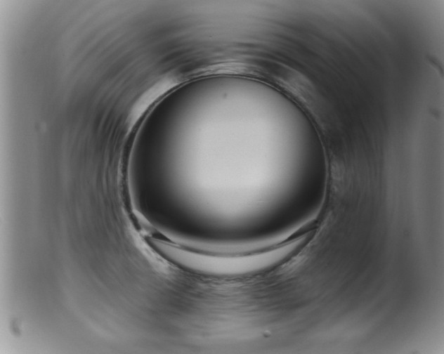 X0000099451426200805161011