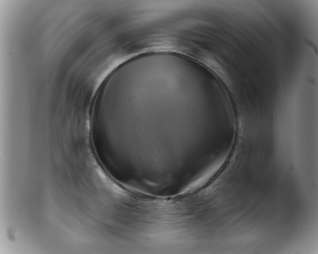 X0000099451428200805161011