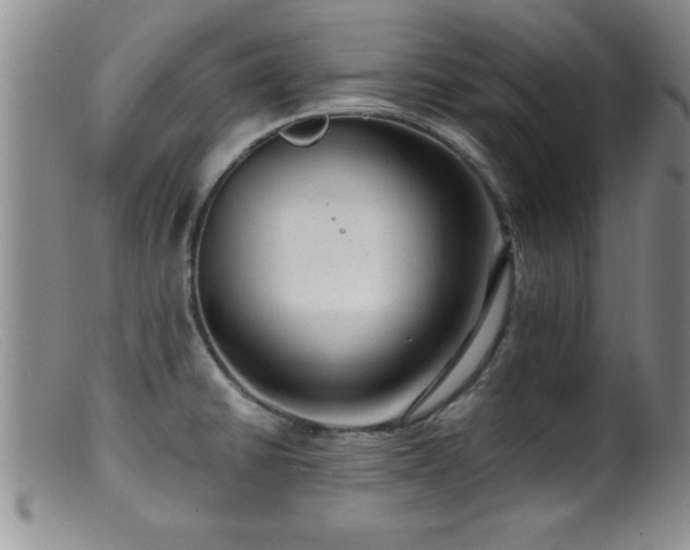 X0000099451430200805161011