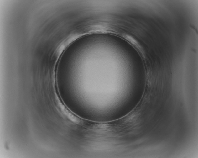 X0000099451431200805161011