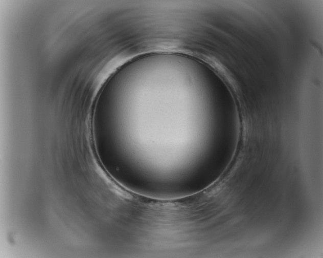 X0000099451432200805161011