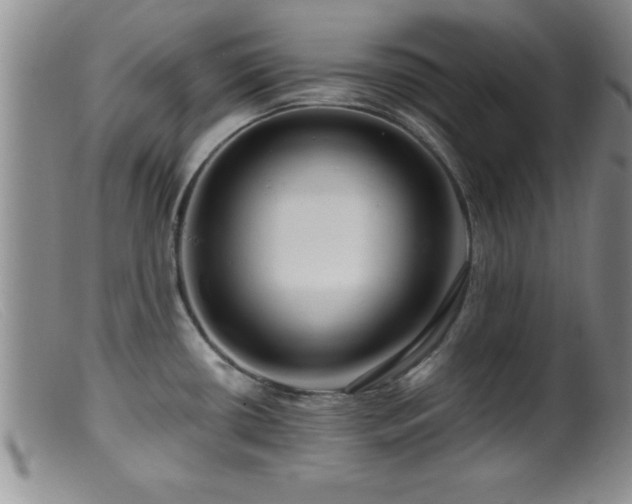 X0000099451434200805161011