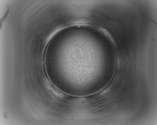 X0000099451435200805161011