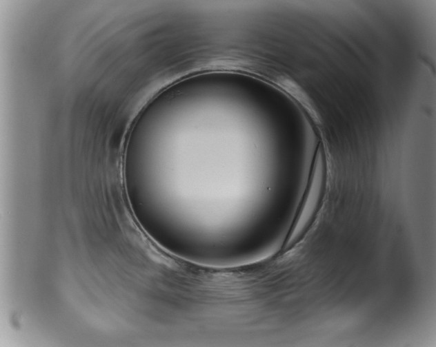 X0000099451436200805161011