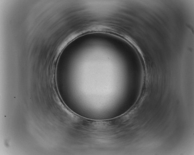 X0000099451437200805161011