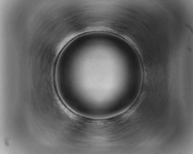X0000099451438200805161011