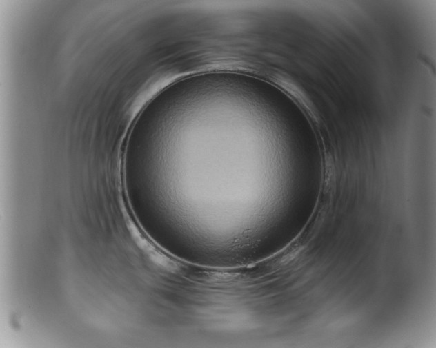 X0000099451439200805161011