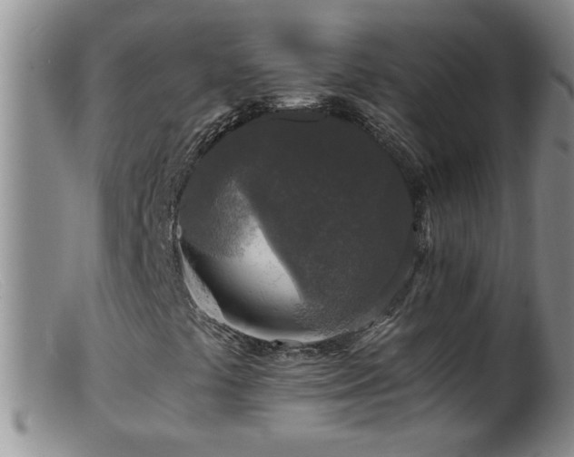 X0000099451441200805161011