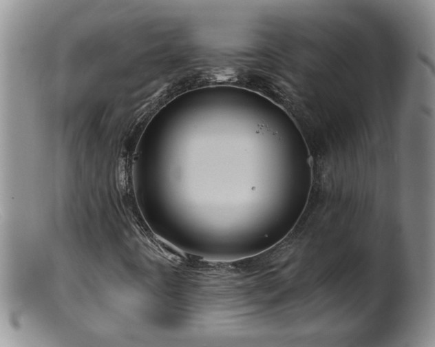 X0000099451442200805161011