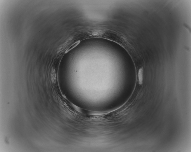 X0000099451443200805161011