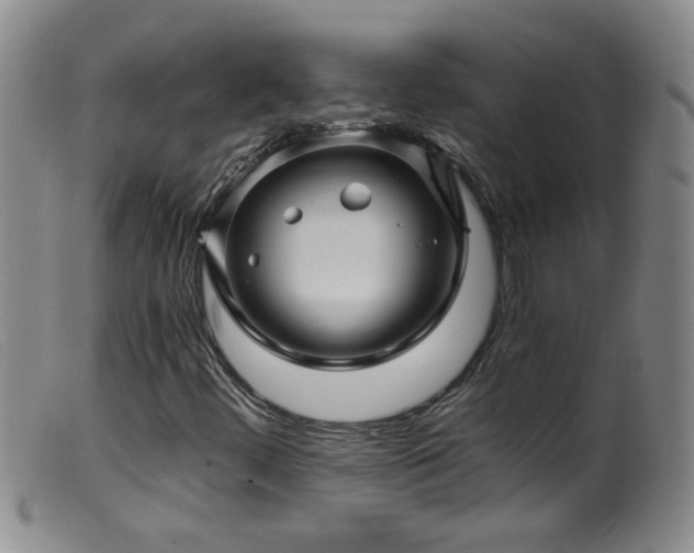 X0000099451444200805161011