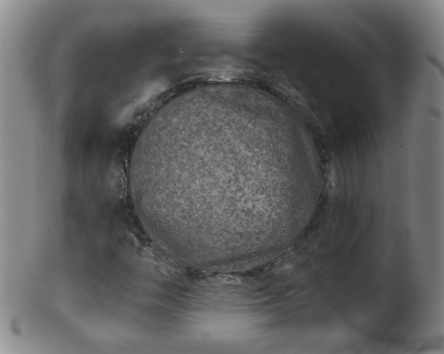 X0000099451446200805161011