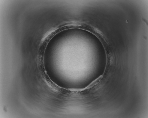 X0000099451448200805161011