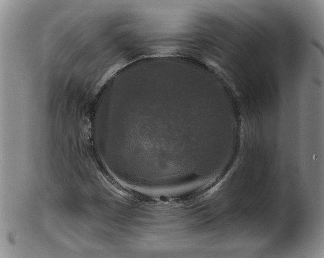 X0000099451449200805161011