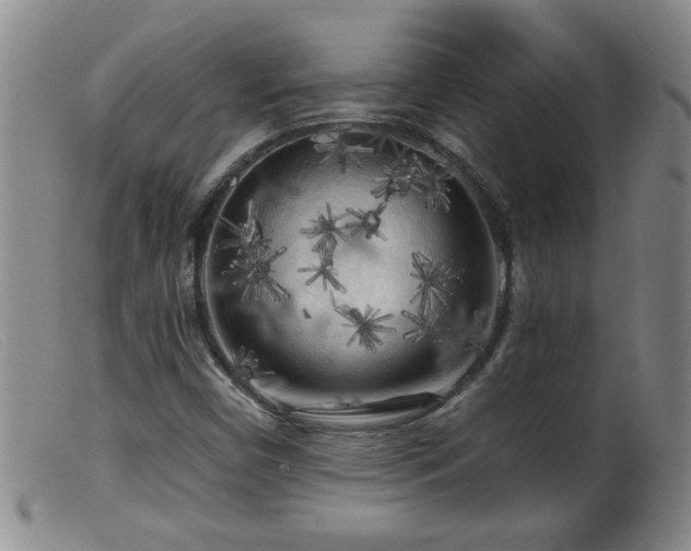 X0000099451450200805161011