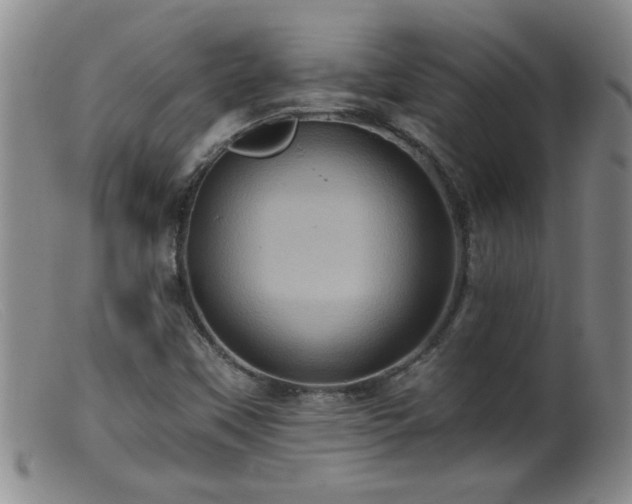 X0000099451451200805161011
