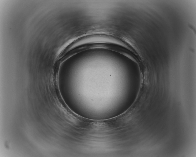 X0000099451452200805161011