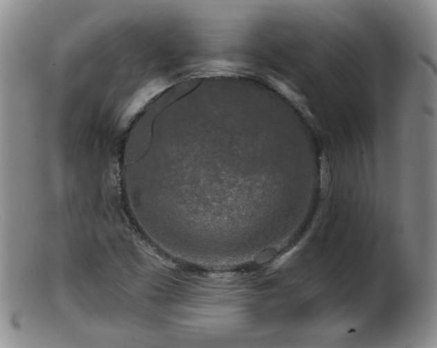 X0000099451453200805161011
