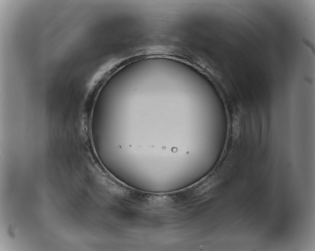 X0000099451454200805161011