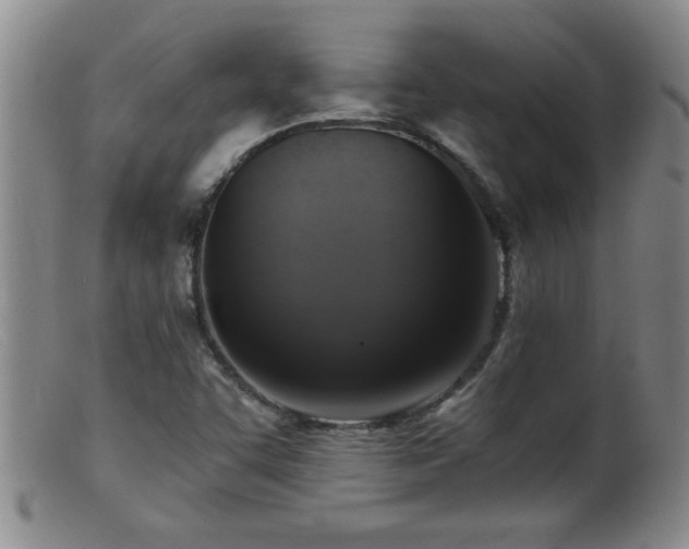 X0000099451455200805161011