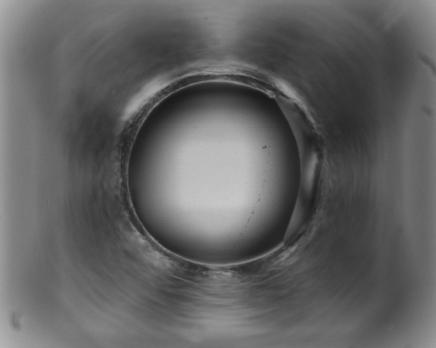 X0000099451456200805161011