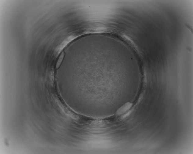 X0000099451457200805161011