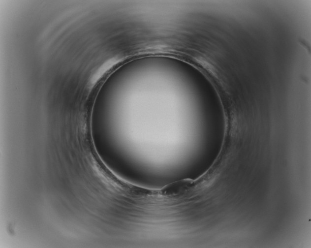 X0000099451458200805161010