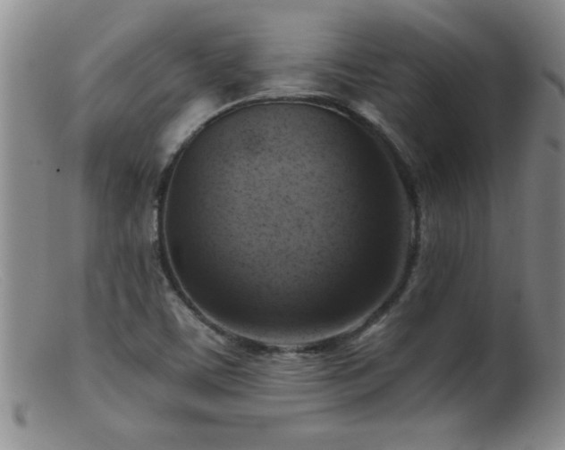 X0000099451459200805161010