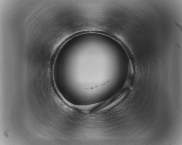 X0000099451460200805161010