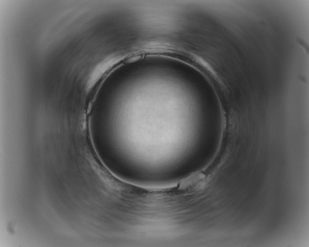 X0000099451461200805161010