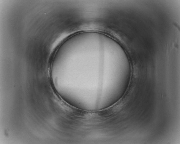 X0000099451462200805161010