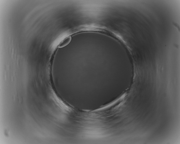 X0000099451463200805161010