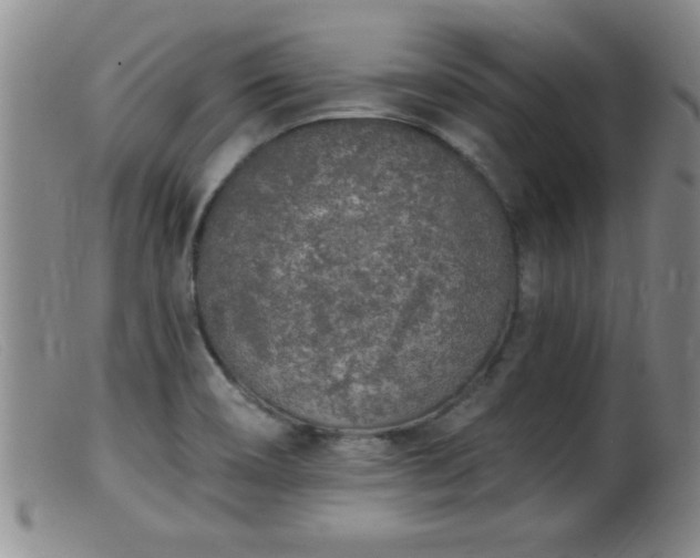 X0000099451466200805161010
