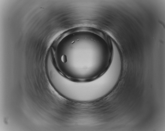 X0000099451468200805161010