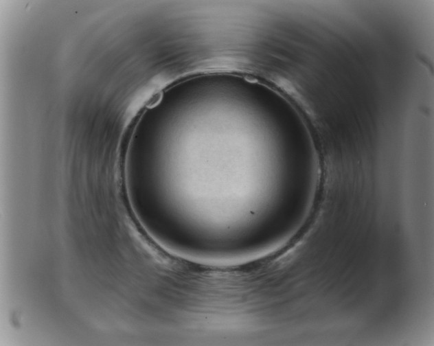 X0000099451469200805161010