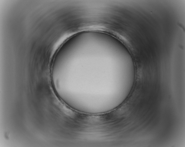 X0000099451470200805161010