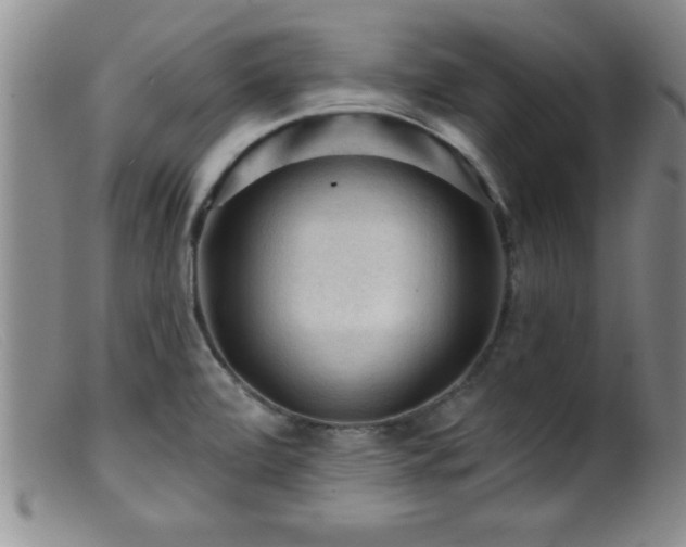 X0000099451472200805161010