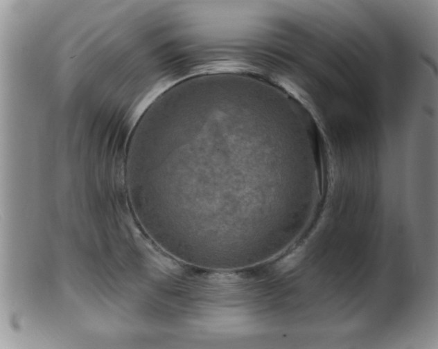 X0000099451473200805161010