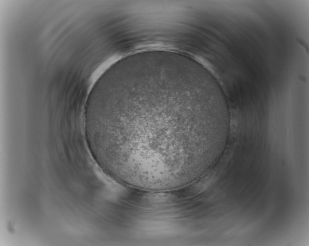 X0000099451474200805161010