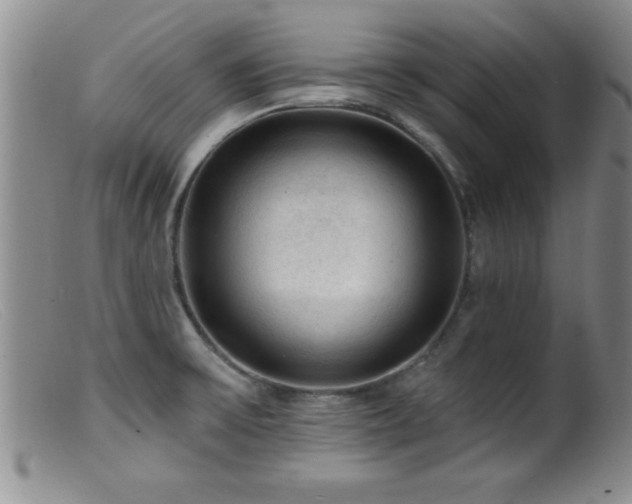 X0000099451475200805161010