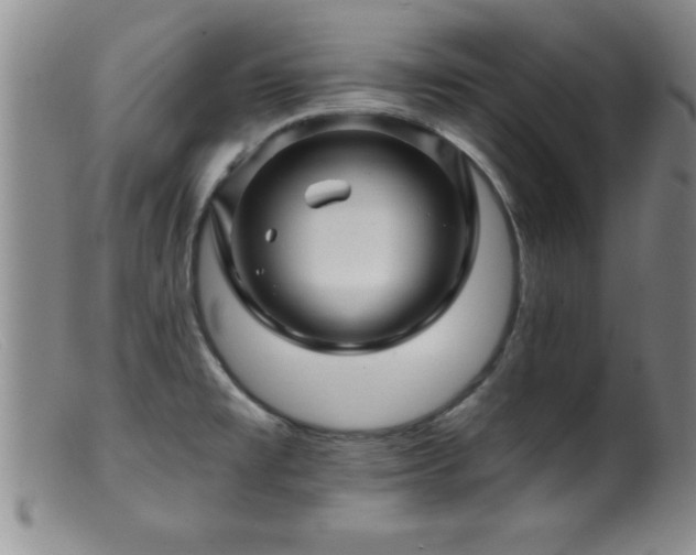 X0000099451477200805161010