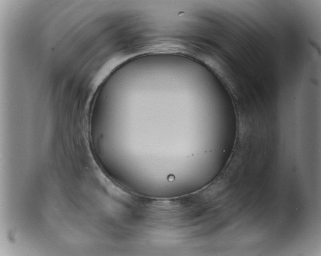 X0000099451478200805161010