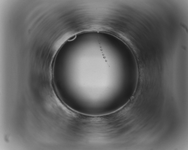 X0000099451479200805161010