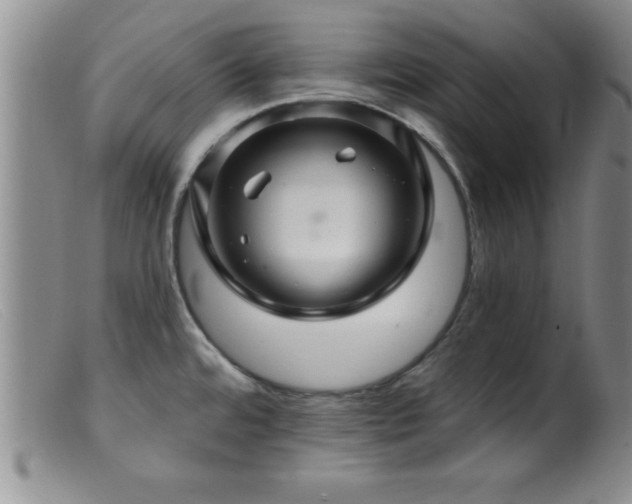 X0000099451480200805161010