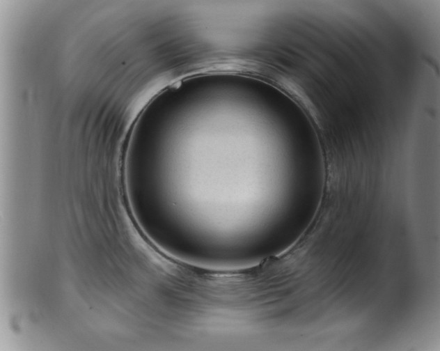 X0000099451483200805161010