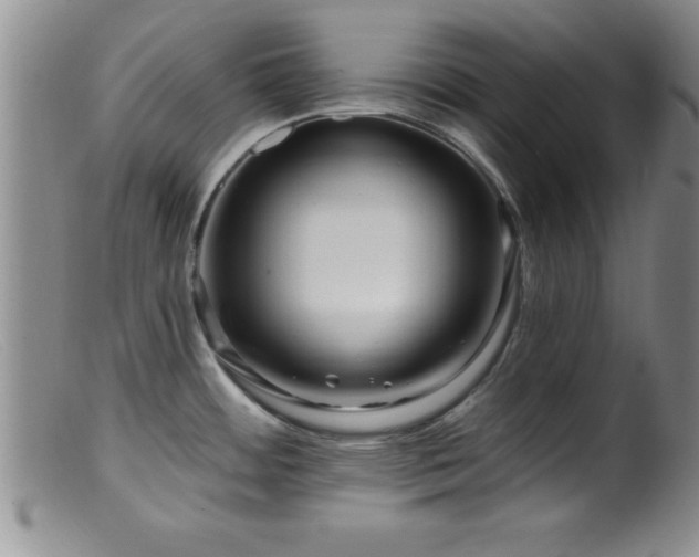 X0000099451484200805161010