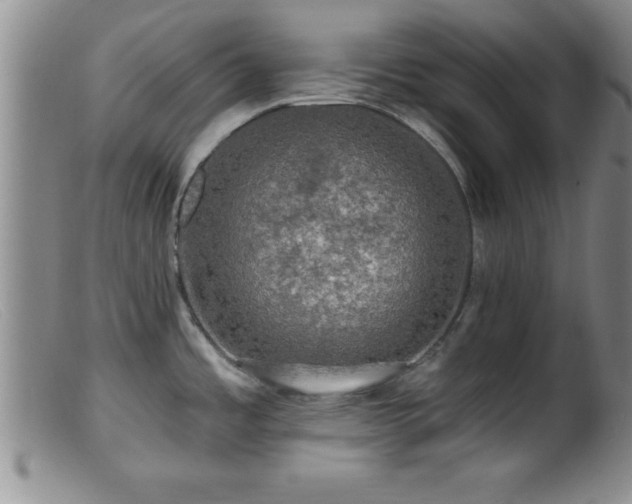X0000099451485200805161010